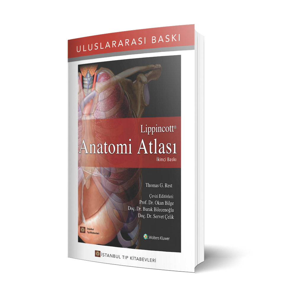 Lippincott Anatomi Atlası