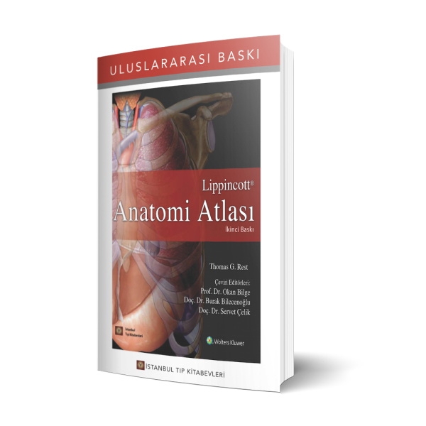 Lippincott Anatomi Atlası